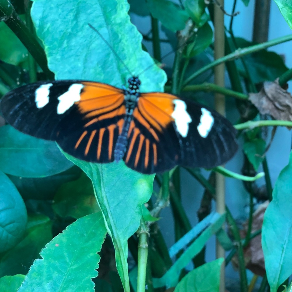 Meet your Posher, Dalaney